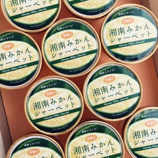 湘南みかんシャーベット